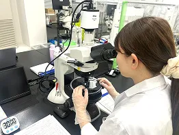 アスベスト調査工事例4