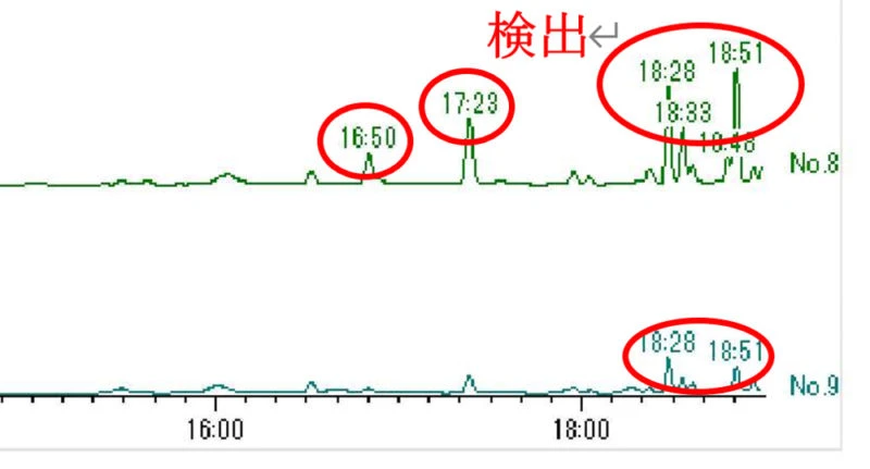 分析結果（クロマトチャート）