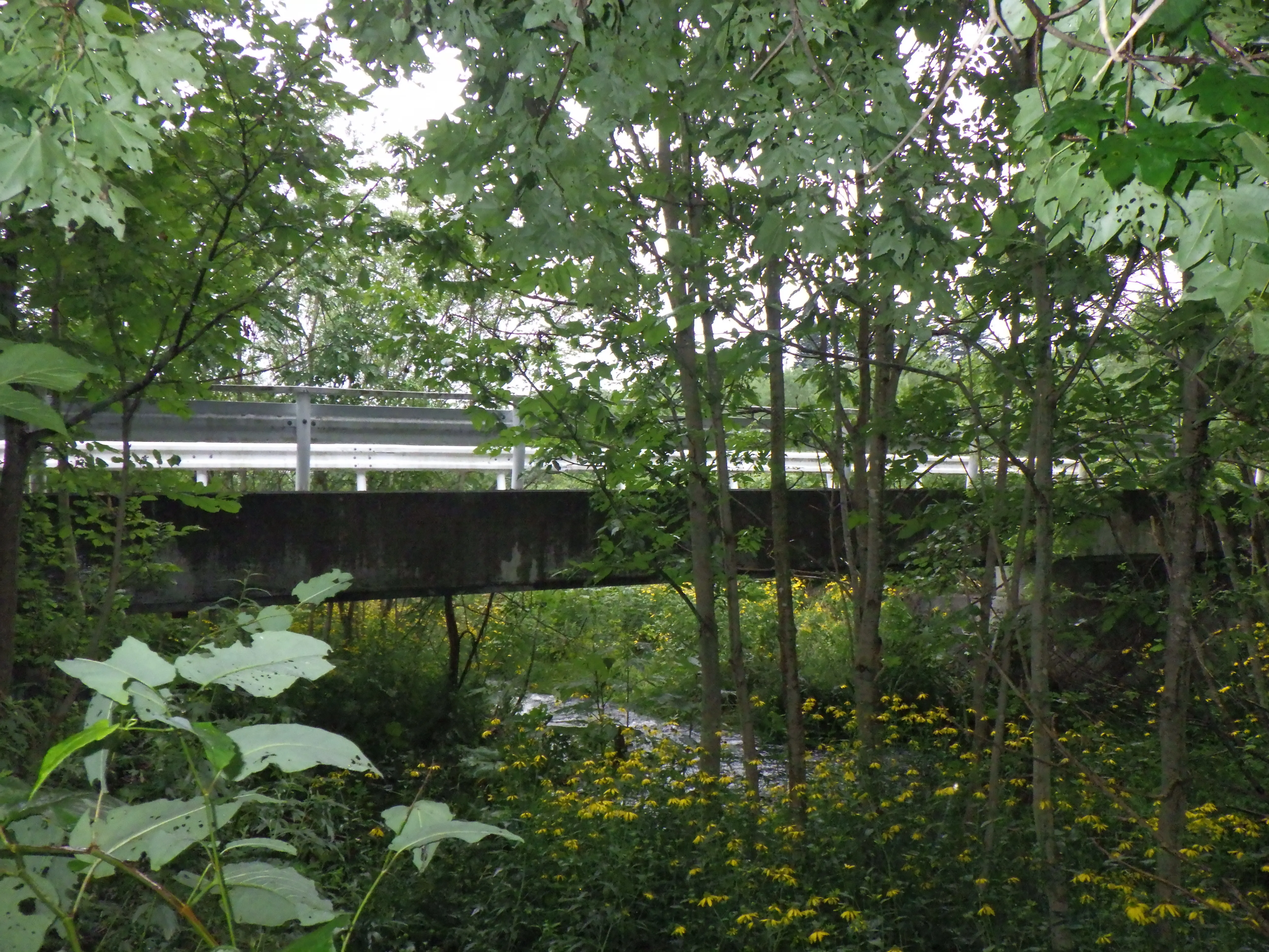 林道橋梁点検・補修設計の様子