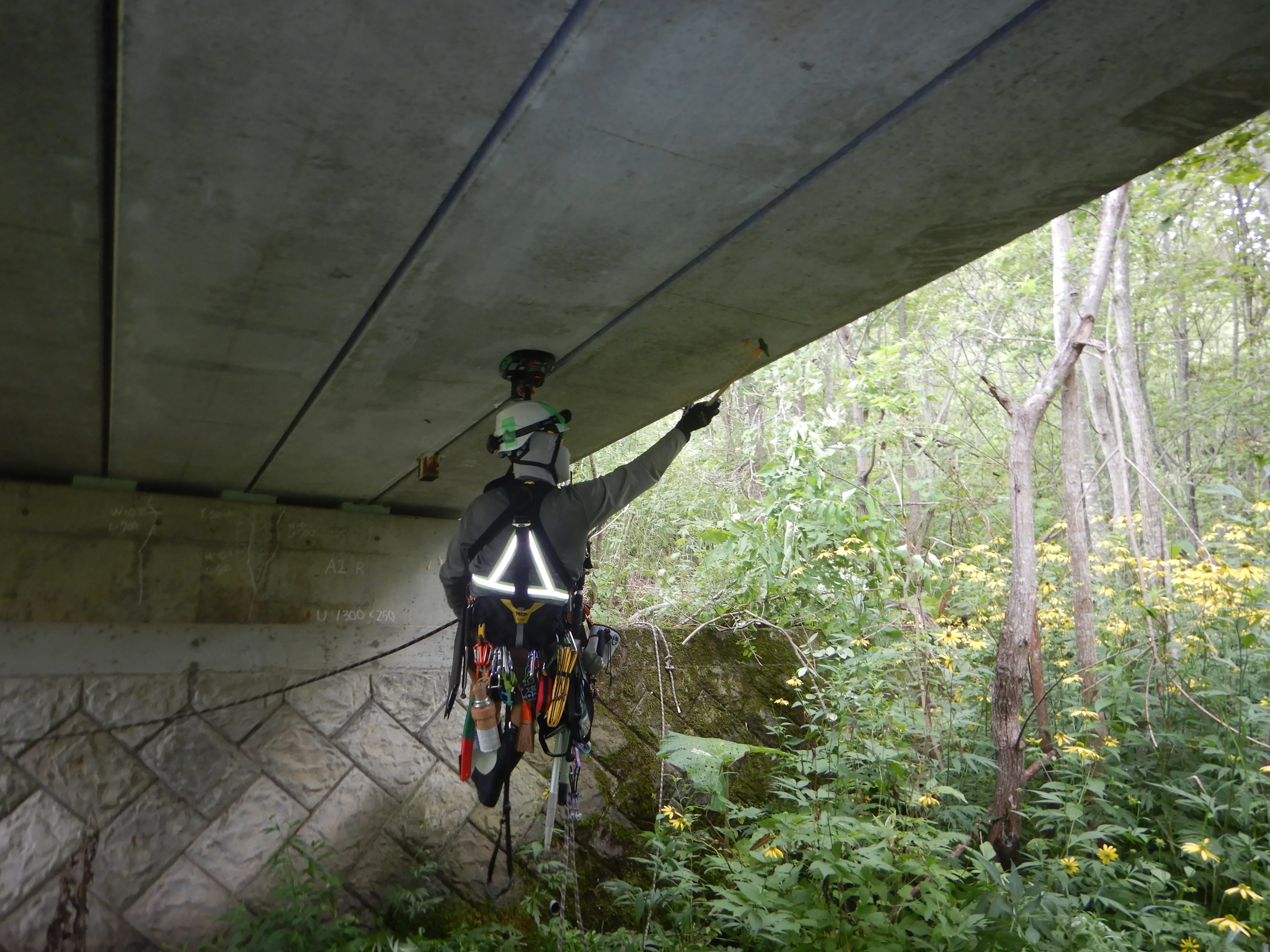 林道橋梁点検・補修設計の様子