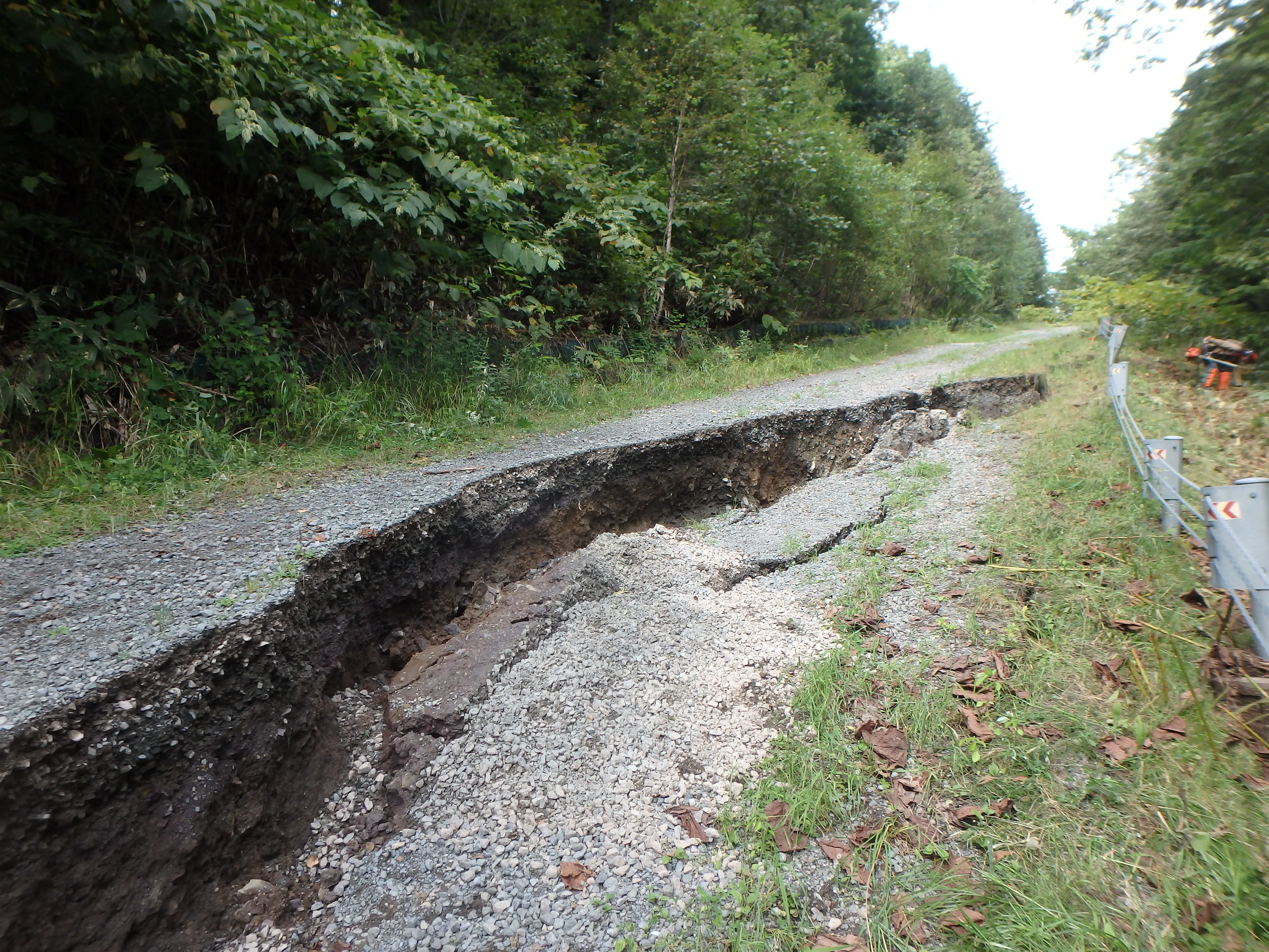 林道施設災害復旧調査設計の様子
