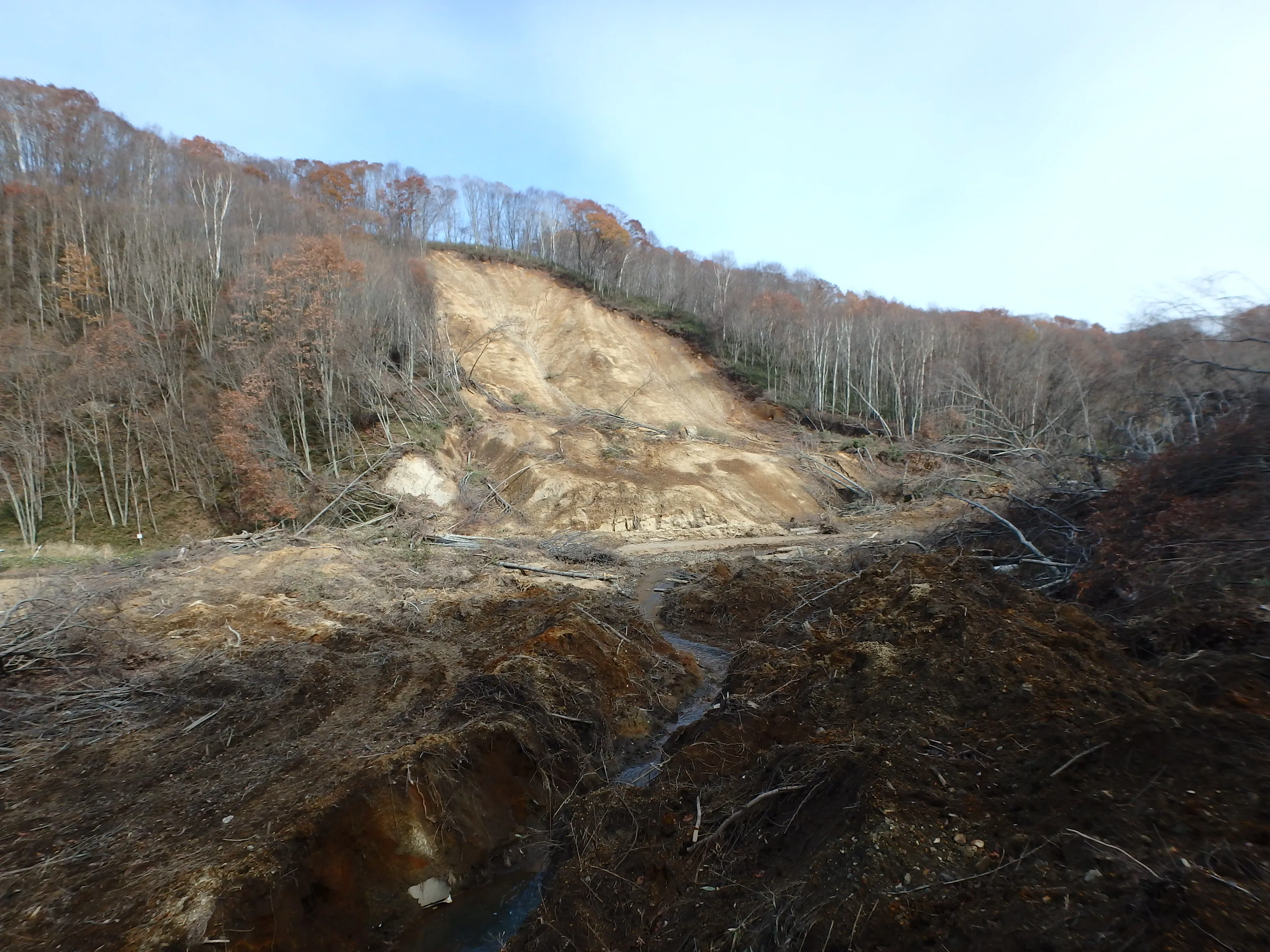 林道施設災害復旧調査設計の様子